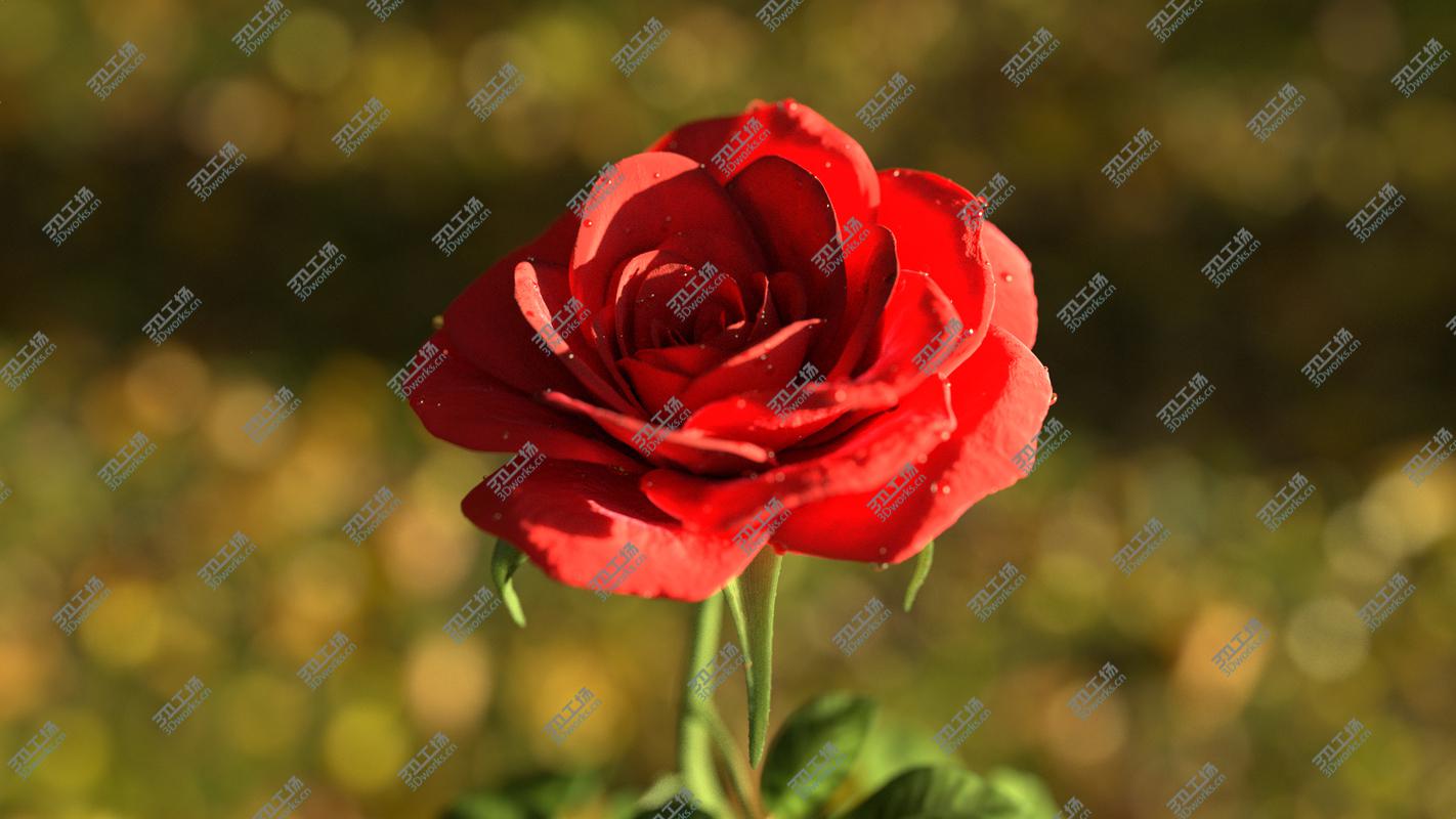 images/goods_img/20210114/Rose animated 3D model/4.jpg